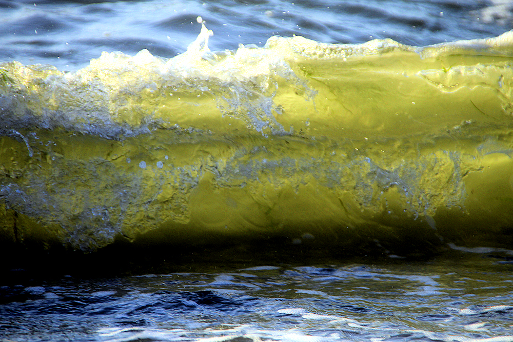 Wasserwilde Doppelwelle