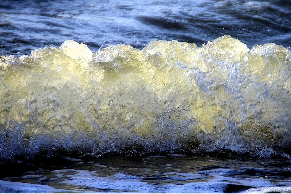 Wasserwilde Welle