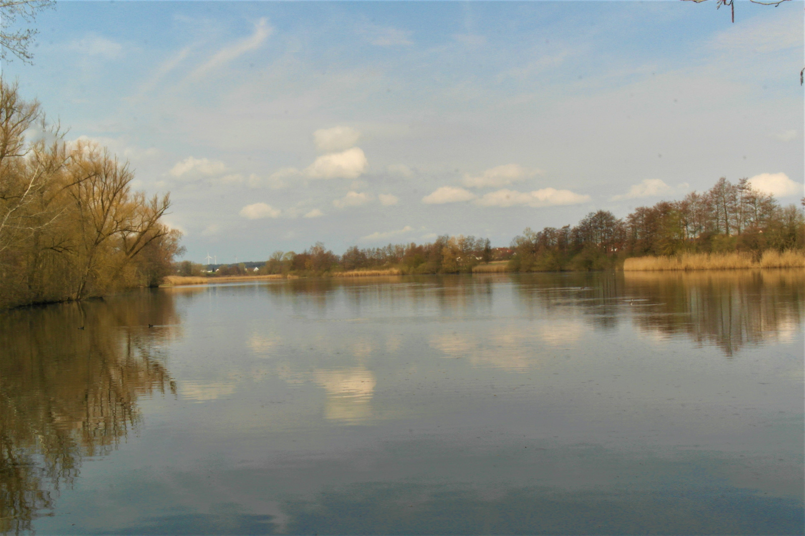 Wasser,Wildvögel,Wolken,Weite 