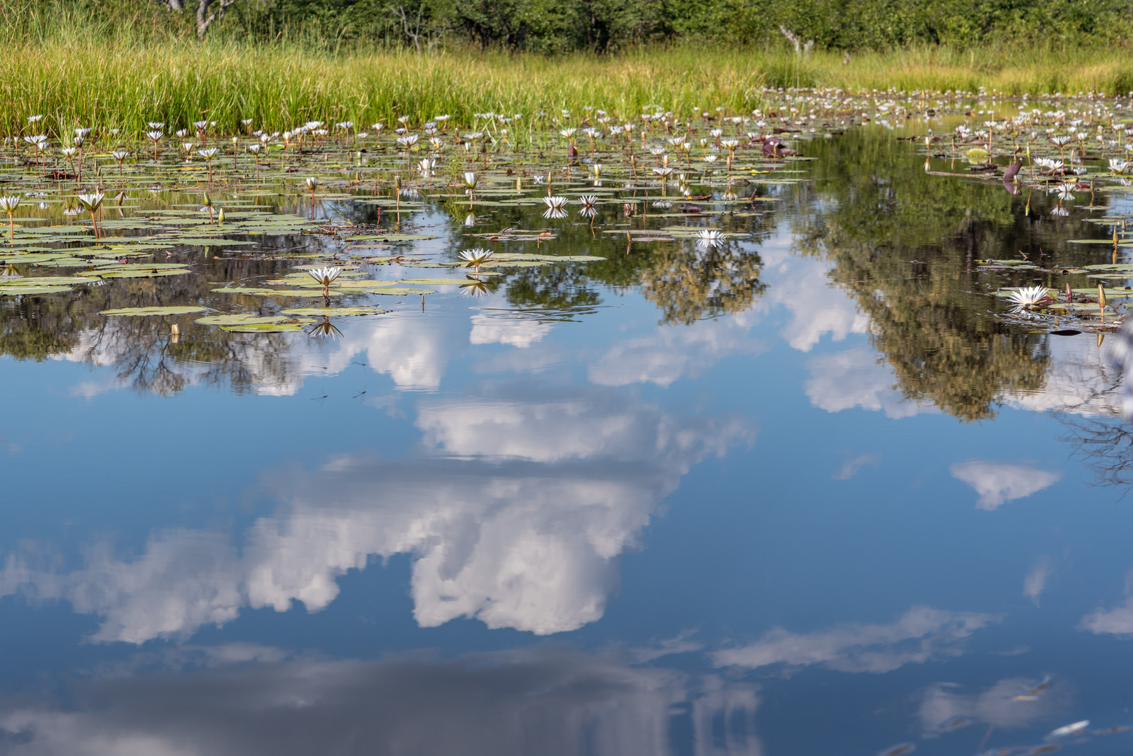 Wasserwolken