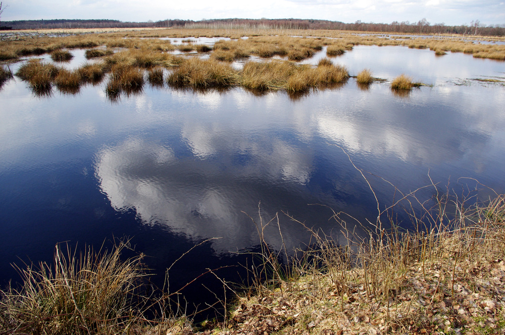 Wasserwolken I von Quirin Edler 