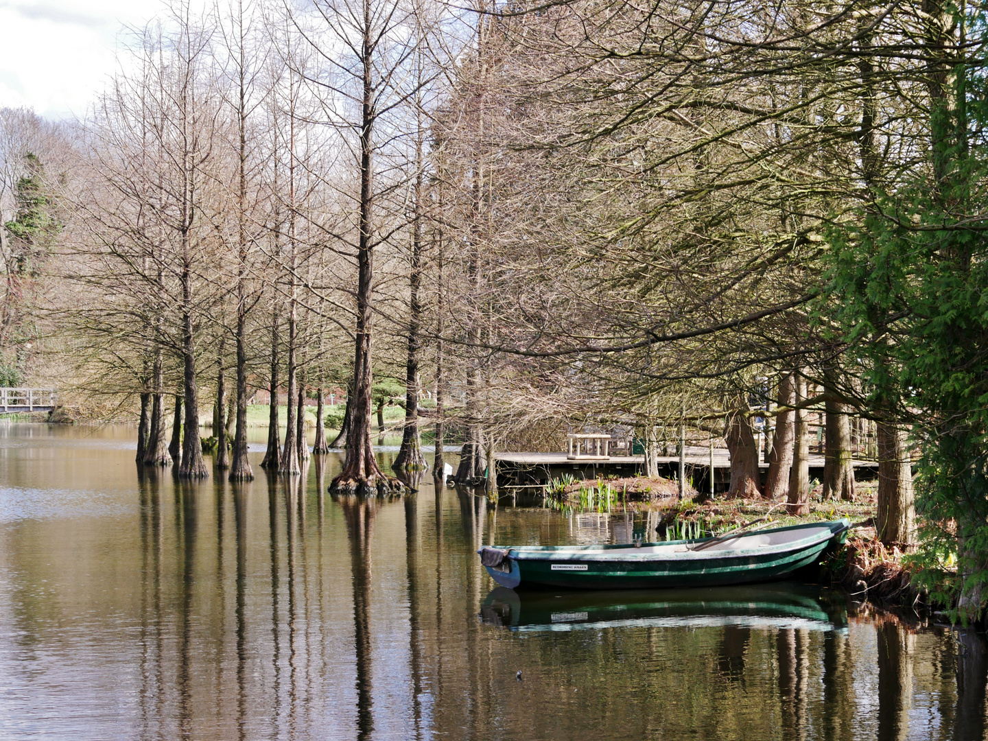 Wasserwurzler im Arboretum Ellerhoop