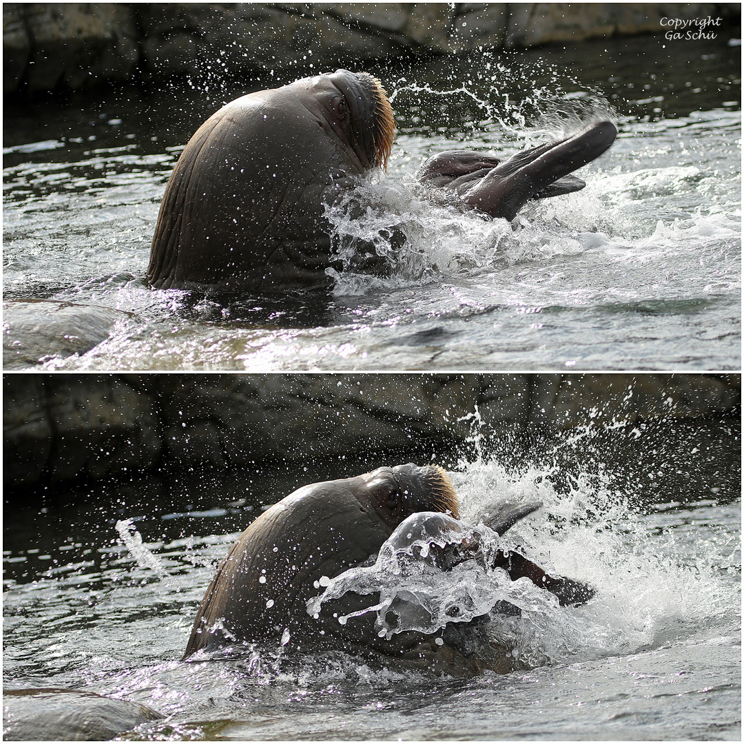 Wasseryoga