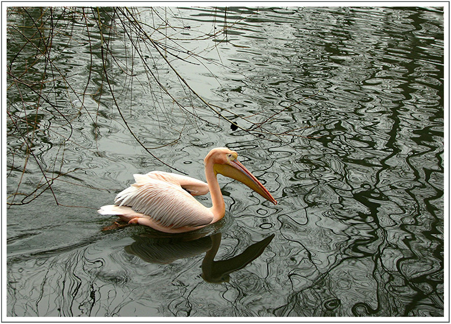 Wasserzauber