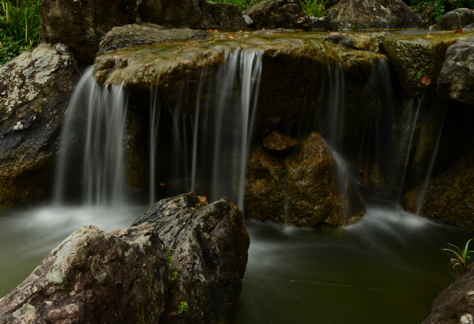 Wasserzauber im Japanischen Garten, Rheinauen Bonn