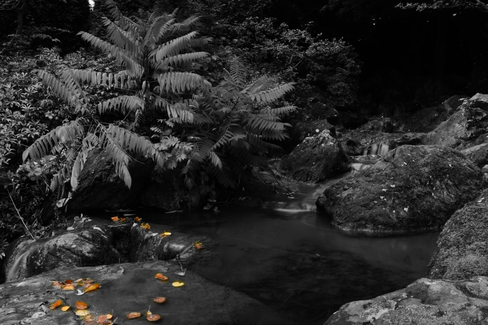 Wasserzauber im Japanischen Garten, Rheinauen Bonn