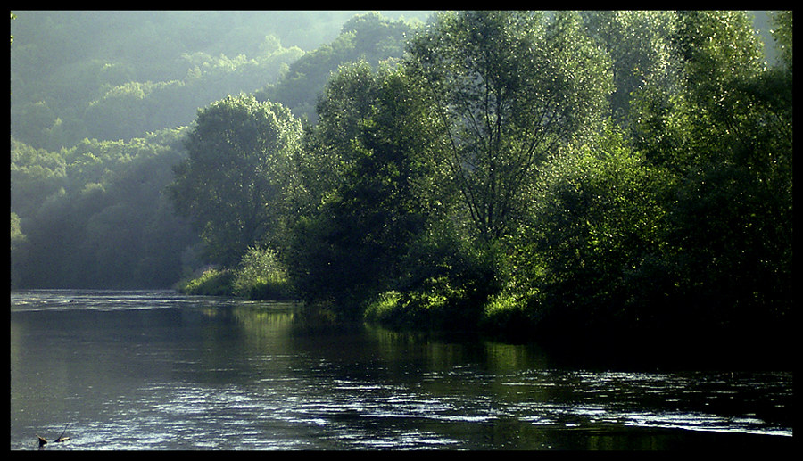 wasserzeichen