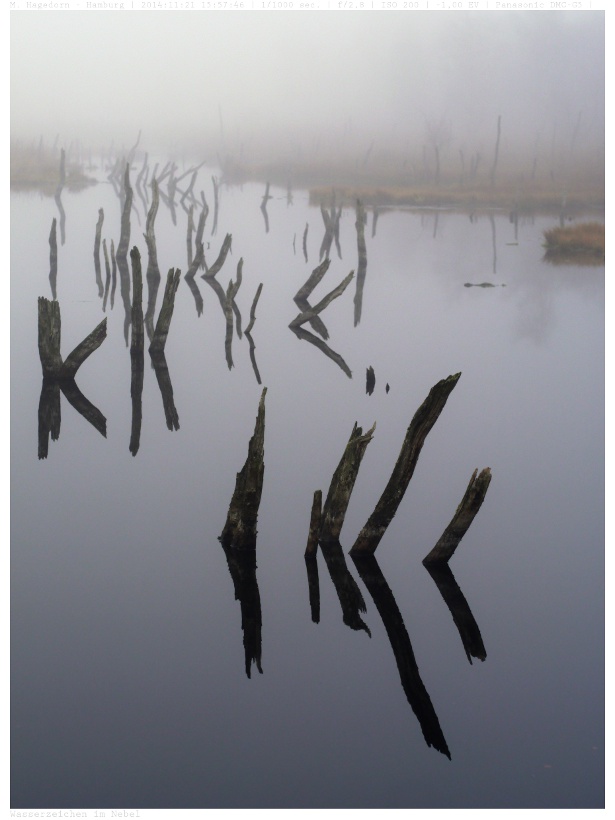 Wasserzeichen im Nebel