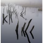 Wasserzeichen im Nebel