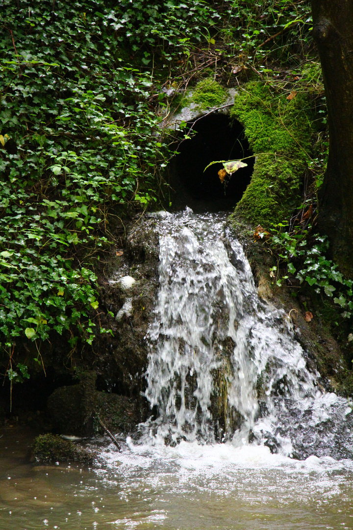 Wasserzulauf