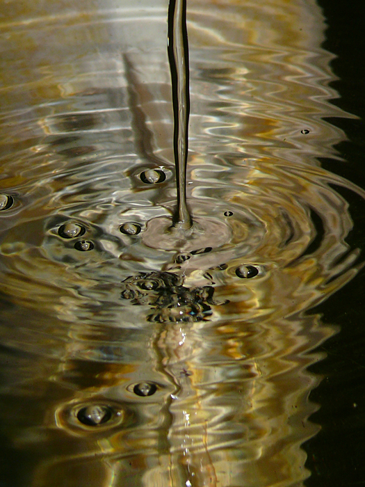 Wasserzulauf und Koi