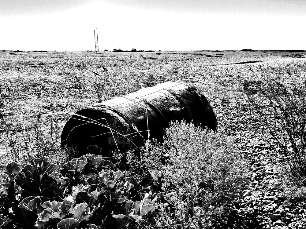 Wasteland 2 Foto & Bild Bilder auf