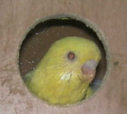 was,wirklich rauskommen in die Kälte.....