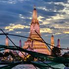 Wat Arun in Gelb