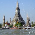 Wat Arun Tempel Thailand Bangkok