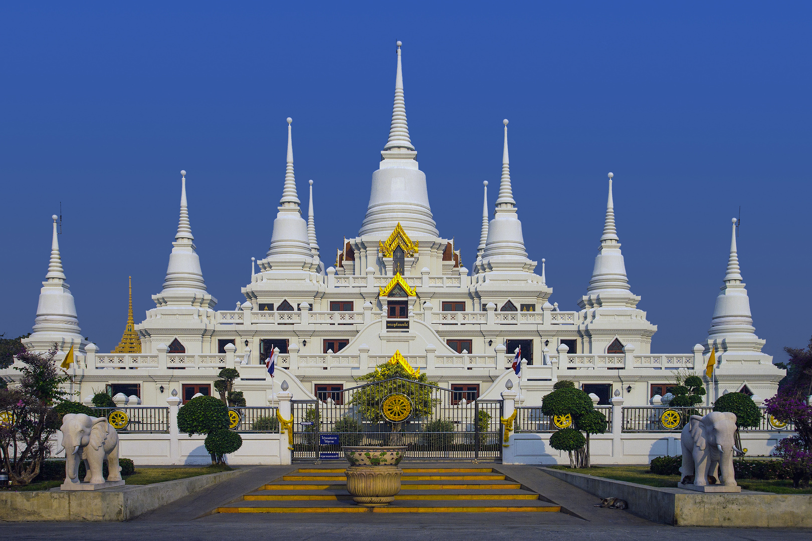 WAT ASOKARAM