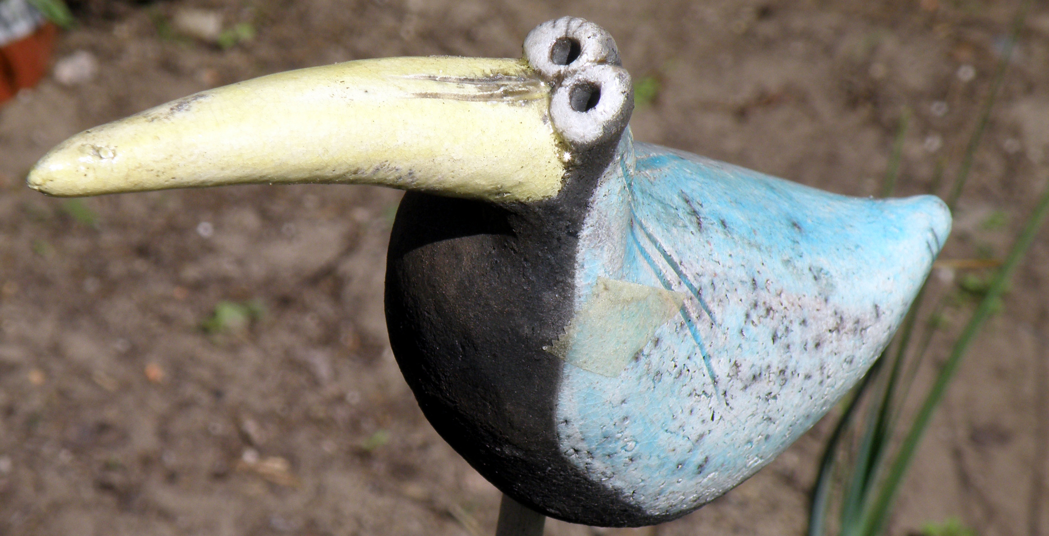 Wat bist du denn für'n Vogel ?