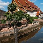 Wat Chedi Luang