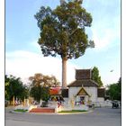 Wat Chediluang Varaviharn temple in Chiang Mai