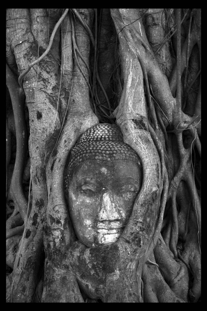 Wat Maha That in Ayutthaya