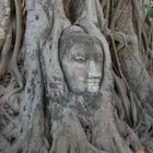 Wat Mahathat, Ayuttaya