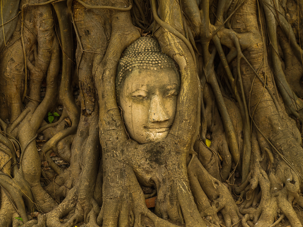  Wat Mahathat  Thailand Ayutthaya 