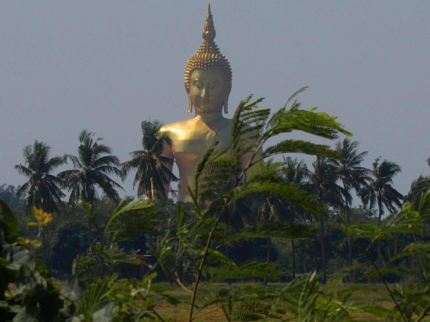 Wat Muang I