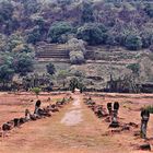 Wat Phou 02