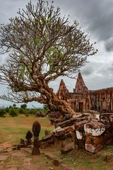 Wat Phou South Palace