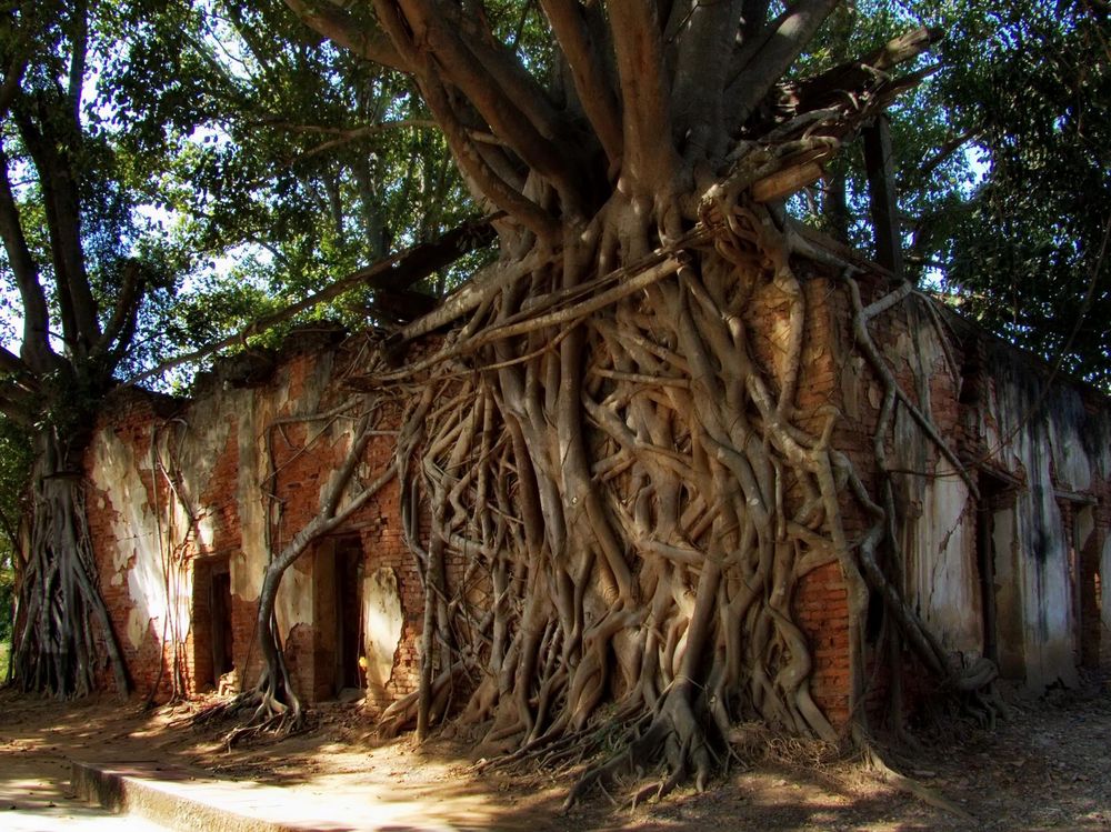 Wat Sang Kratai