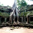 Wat Ta Phrom