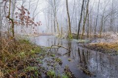 Wat-Weg im Venner Moor