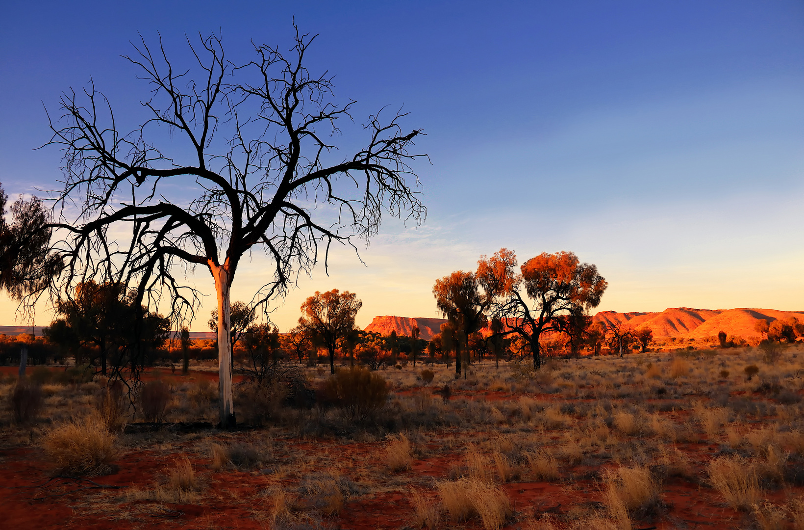 Watarrka