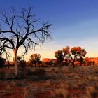 Watarrka