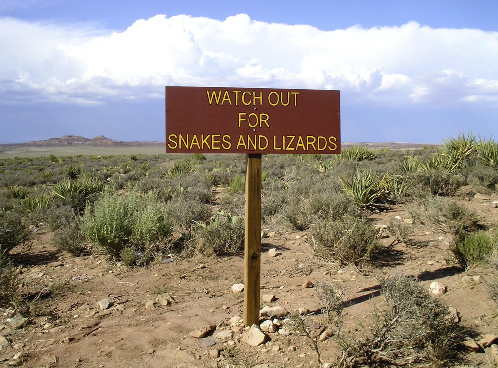 Watch out for snakes and lizards!