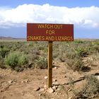 Watch out for snakes and lizards!