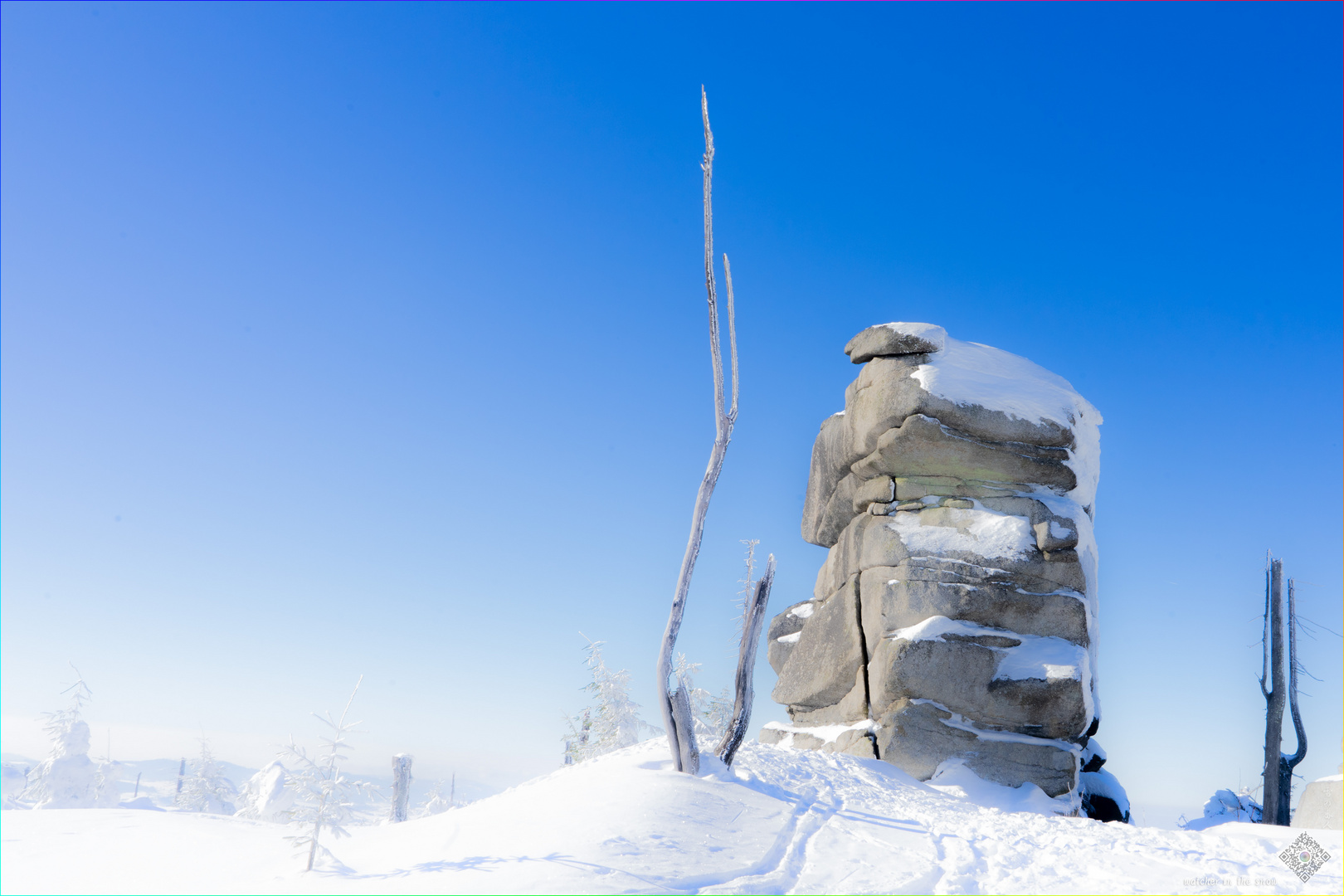 watcher in the snow / der waechter im schnee