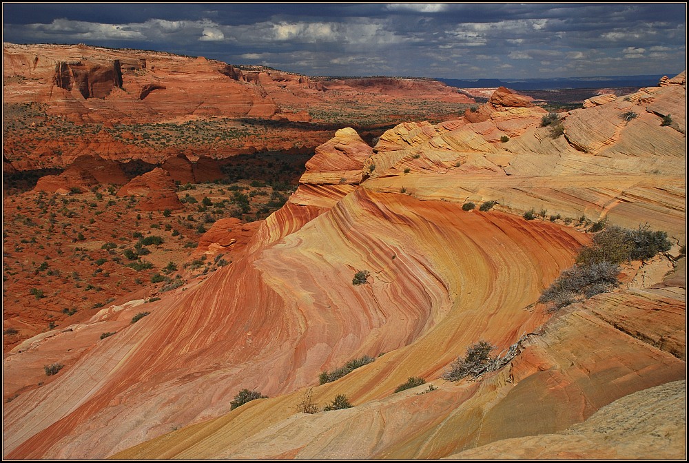 Watcher of Coyote Buttes