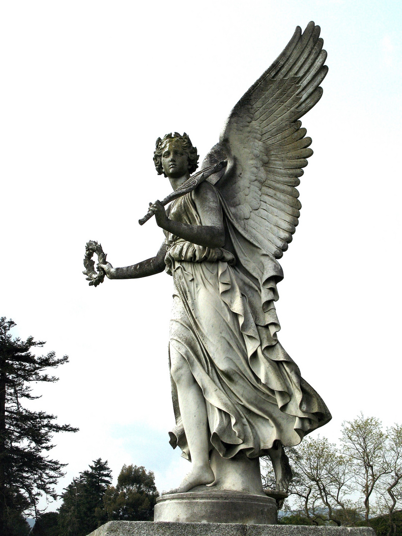 Watching over Powerscourt Gardens