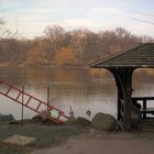 Watching the Autumn Lake