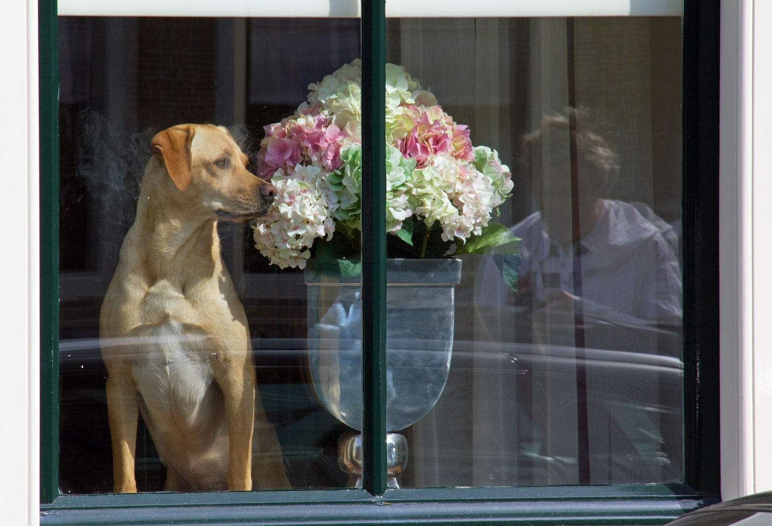 watching the girls go by