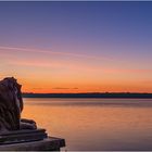 Watching the Lake