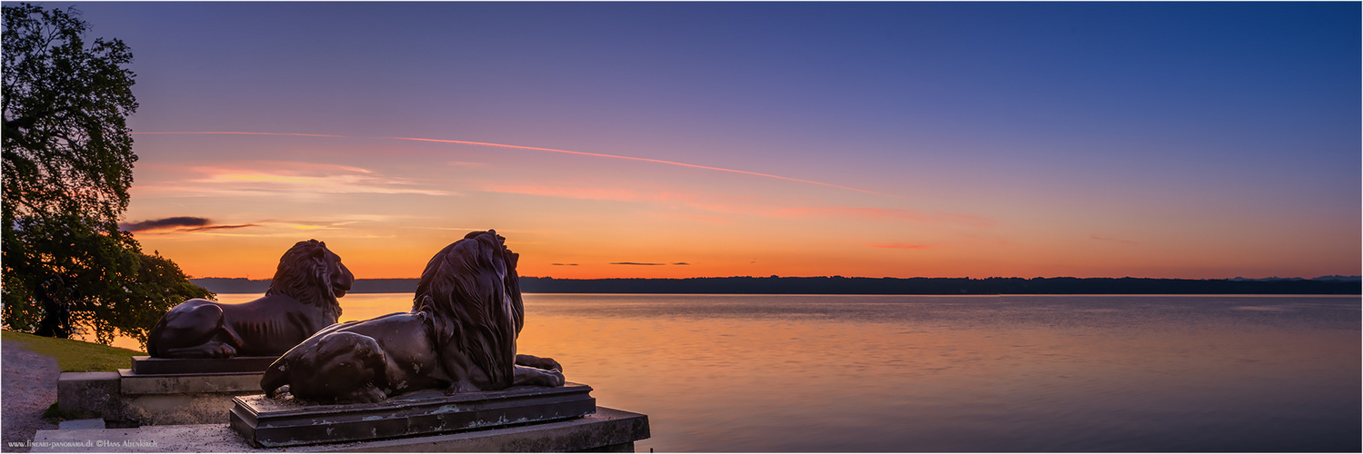 Watching the Lake