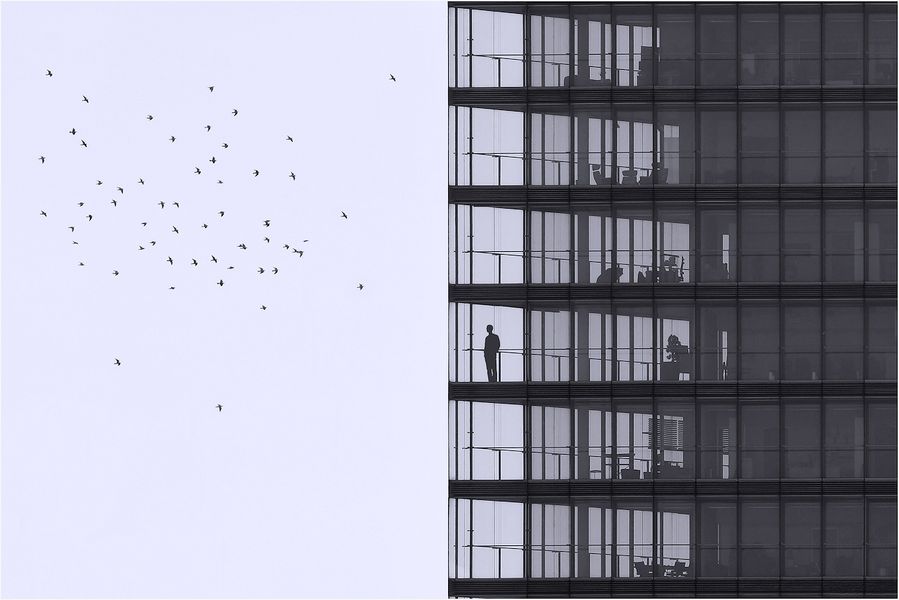 Watching The Pigeons