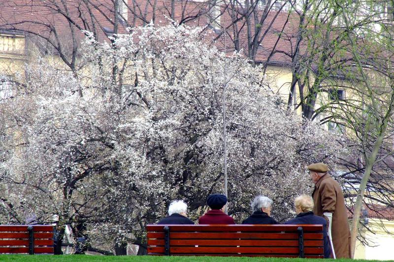 Watching the spring