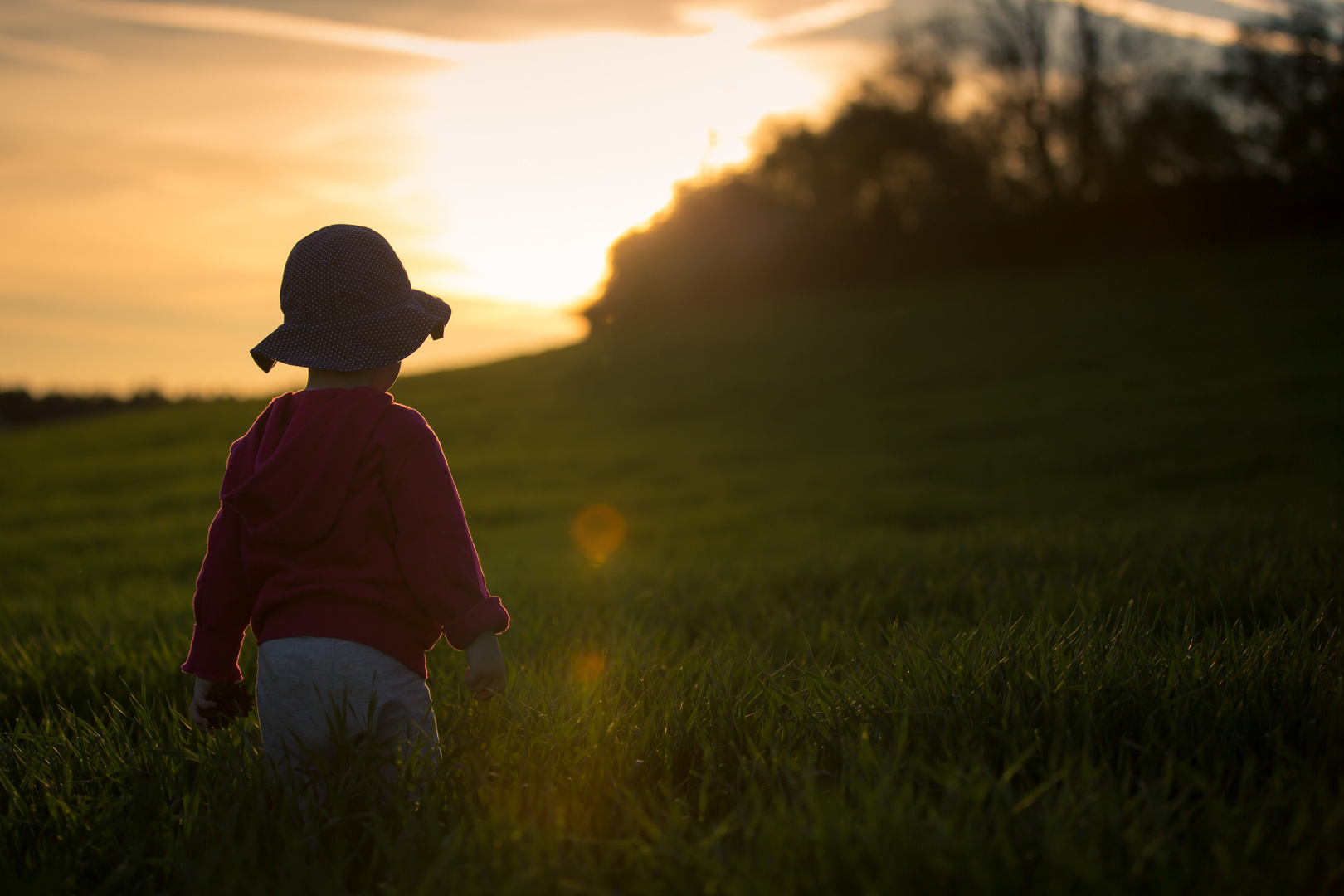 watching the sunset