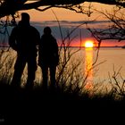 Watching the Sunset II