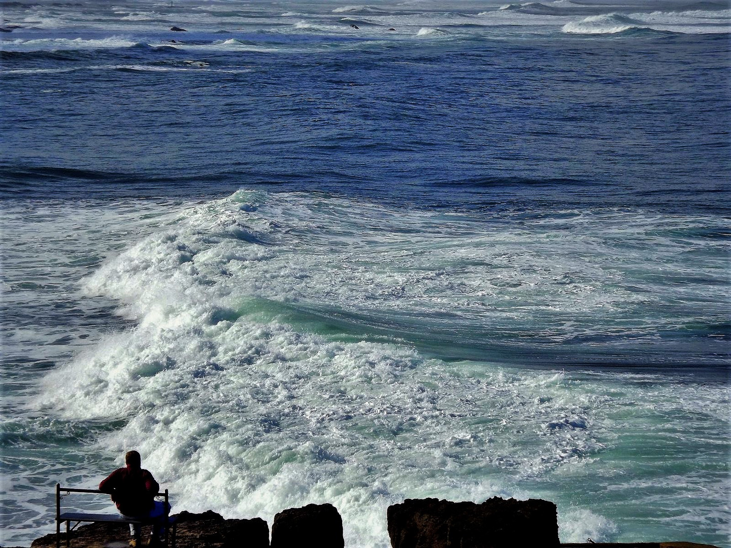 --  watching the waves  --