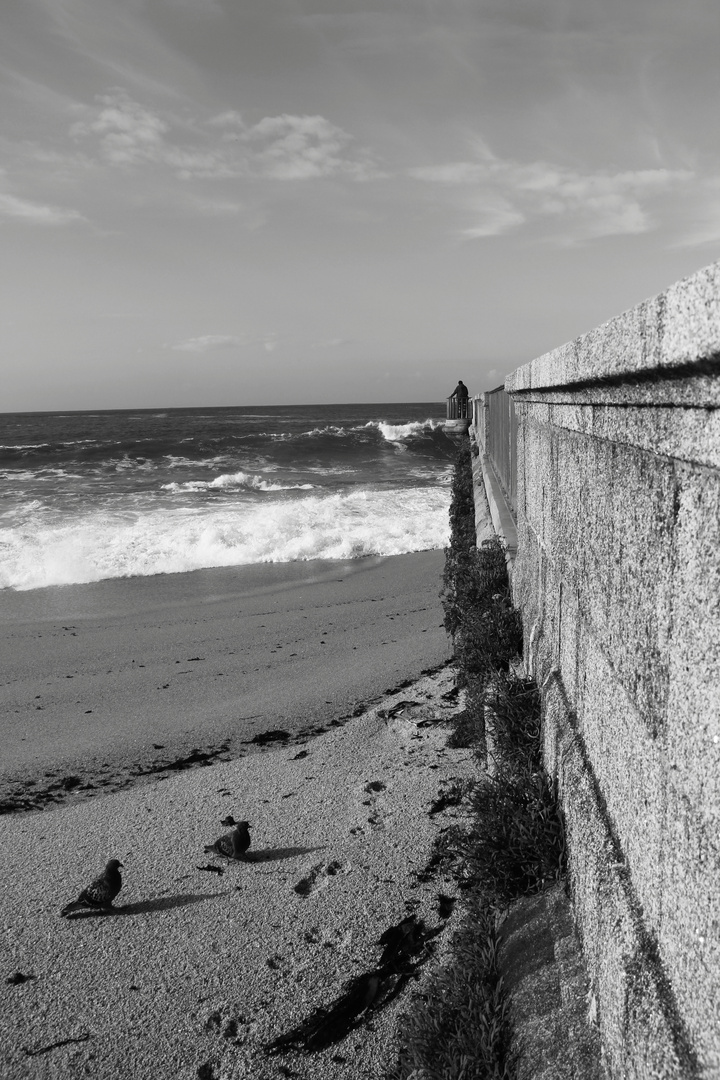 Watching the waves