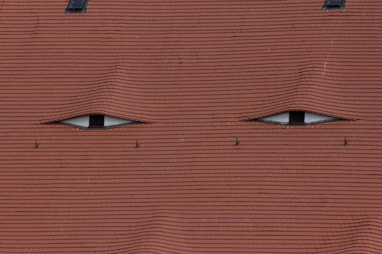 Watching you...